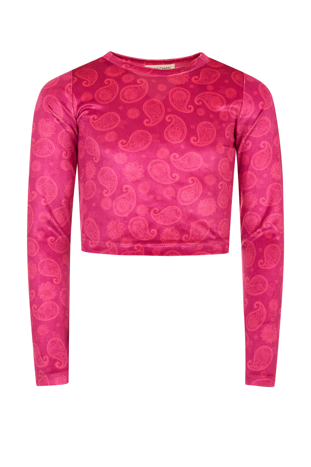 CAPSULE PURPLE VELVET TOP