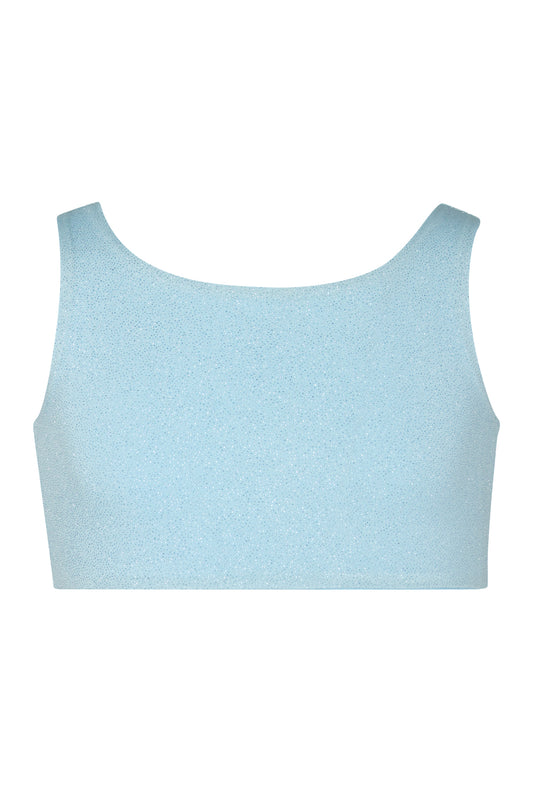 Sparkle Crop Top